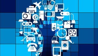 开云体育网址-高校运动训练数据可视化分析技术研究，高校运动训练数据可视化分析技术研究报告