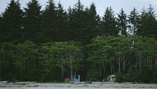 开云体育app入口-实况转会：市场上的潜力股球队动态，实况足球转会期是什么时候