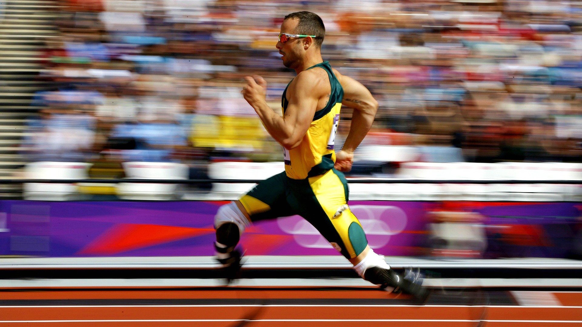 高校运动训练数据可视化分析技术研究,高校运动训练数据可视化分析技术研究报告