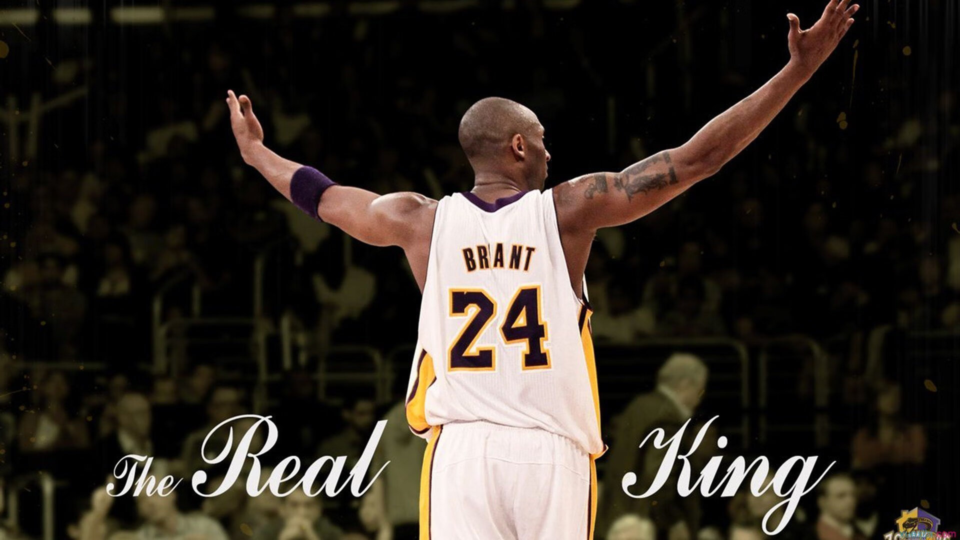 Chinese Taipei：未来发展的关键在于人才培养与技术提升